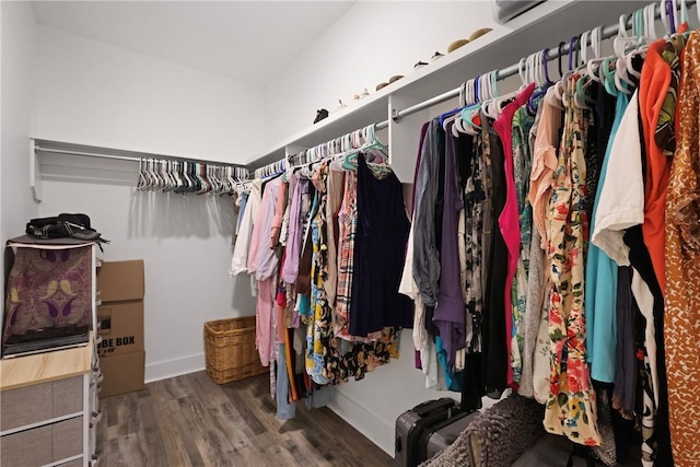 1317 Kyles Loop NE, Townsend, GA 31331 - spacious closet with wood finished floors