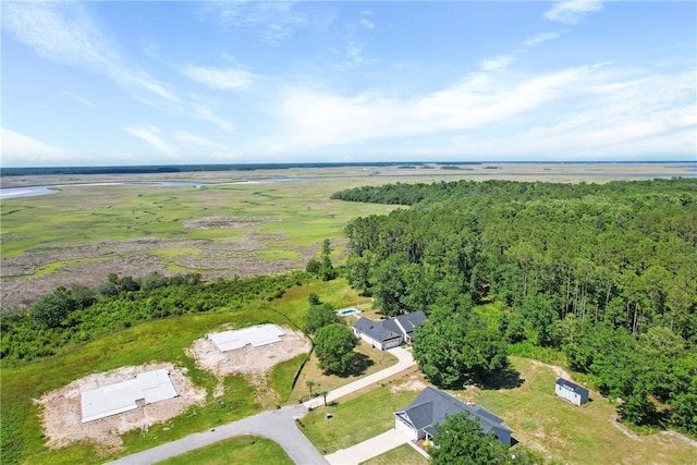 1317 Kyles Loop NE, Townsend, GA 31331 - aerial view of property's location with a heavily wooded area