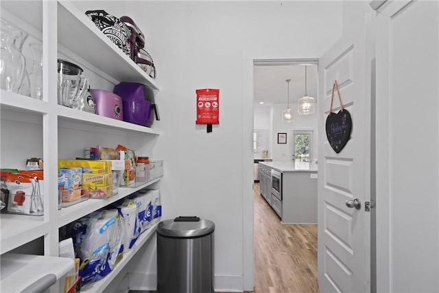 1317 Kyles Loop NE, Townsend, GA 31331 - view of pantry