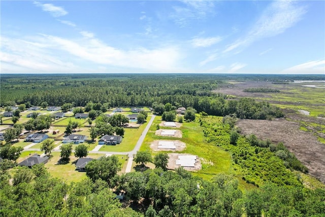 1317 Kyles Loop NE, Townsend, GA 31331 - aerial view of a forest