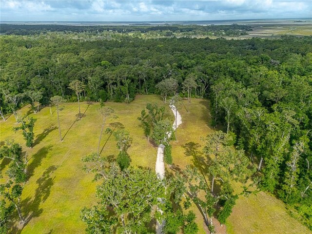 24 Carriage Dr, Saint Simons Island, GA 31522 - photo 20