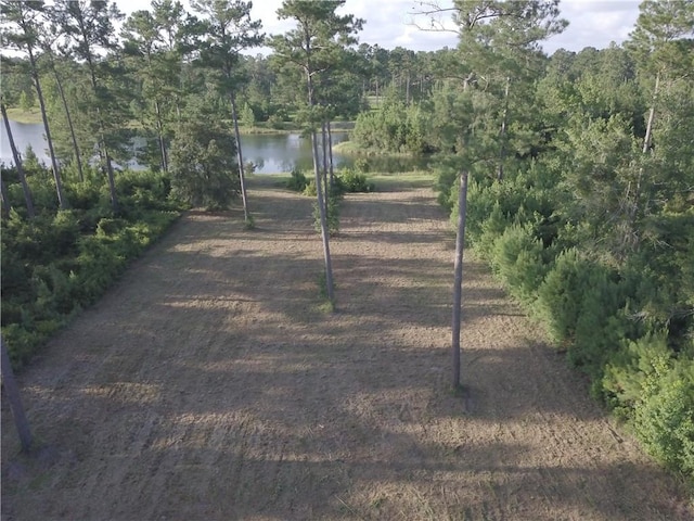 538 Salt Creek Way E, Brunswick, GA 31523 - photo 7
