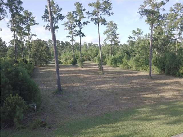 538 Salt Creek Way E, Brunswick, GA 31523 - photo 6