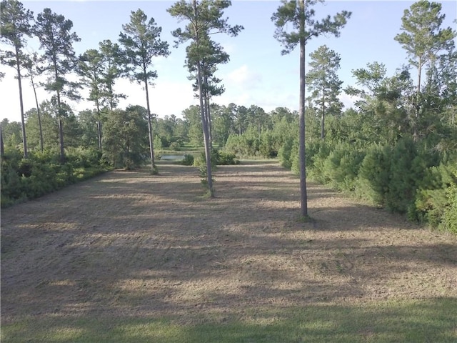 538 Salt Creek Way E, Brunswick, GA 31523 - photo 5