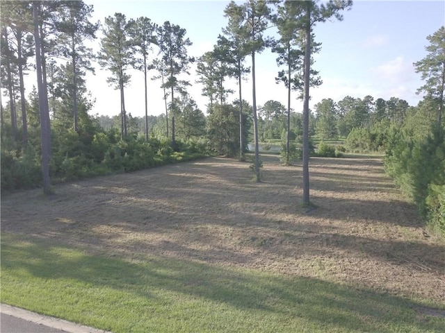 538 Salt Creek Way E, Brunswick, GA 31523 - photo 4