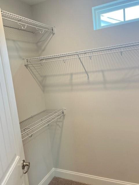 view of walk in closet