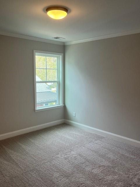 unfurnished room featuring carpet floors and crown molding