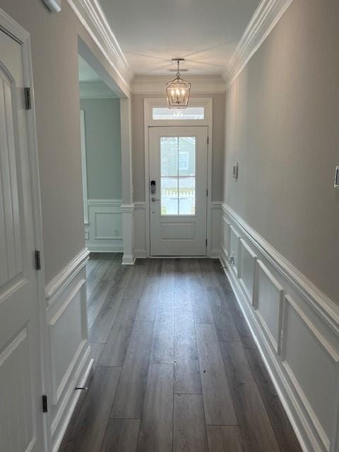 doorway with a chandelier, dark wood-type flooring, and ornamental molding