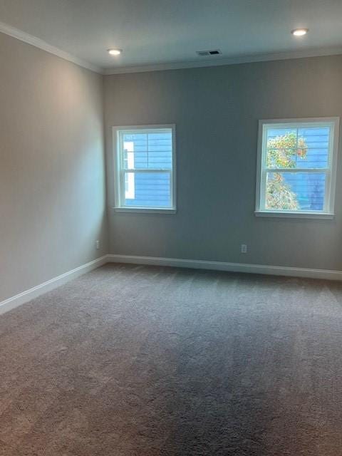 carpeted empty room featuring plenty of natural light and crown molding