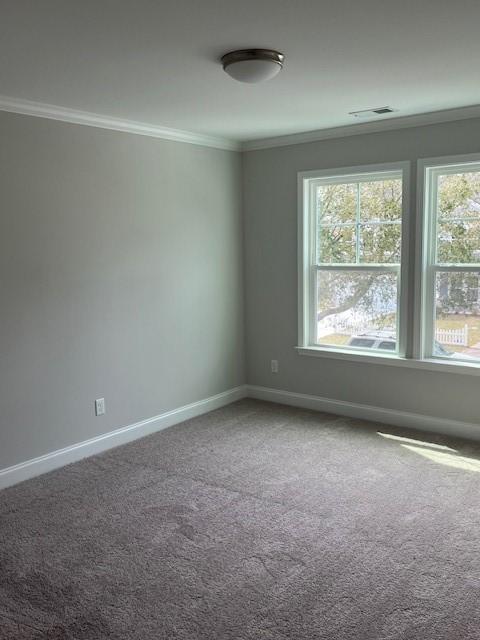 carpeted empty room featuring crown molding