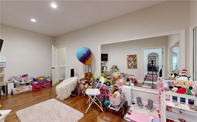 playroom featuring wood-type flooring