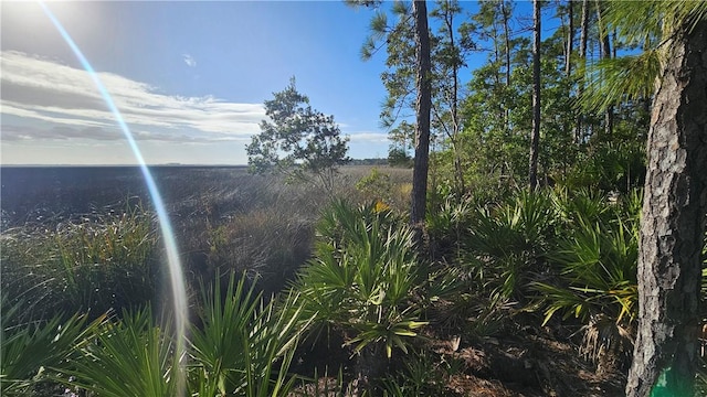 Listing photo 3 for 2130 Isles Of St Marys Way, Saint Marys GA 31558