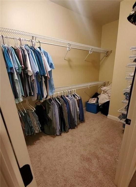 116 Bartram Trl, Blackshear, GA 31516 - spacious closet featuring carpet flooring