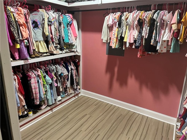 116 Bartram Trl, Blackshear, GA 31516 - spacious closet with wood finished floors