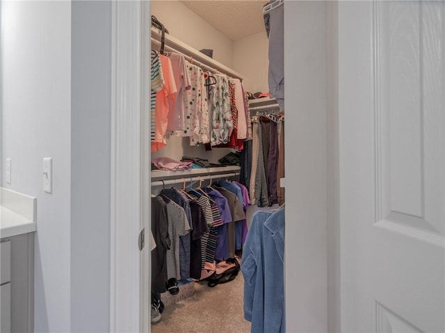 spacious closet with carpet floors