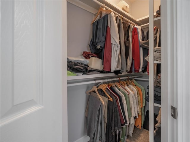 spacious closet with carpet floors