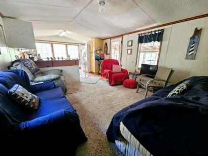 living room with carpet flooring and lofted ceiling