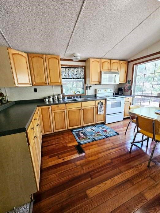 kitchen featuring dark hardwood / wood-style floors, white appliances, sink, and a wealth of natural light