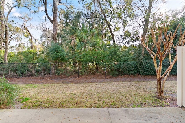 1407 Reserve Ct, Saint Simons Island, GA 31522 - view of yard
