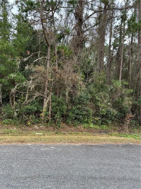 133 Deborah Ln, Brunswick GA, 31525 land for sale