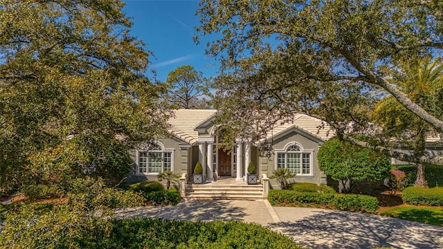 view of front of home with a tile roof and stucco siding