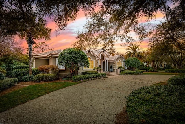 view of property hidden behind natural elements with concrete driveway and stucco siding