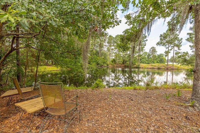 189 Harbor Pointe Dr, Brunswick, GA 31523 - view of yard with a water view