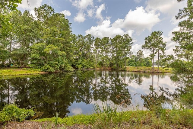 189 Harbor Pointe Dr, Brunswick, GA 31523 - water view
