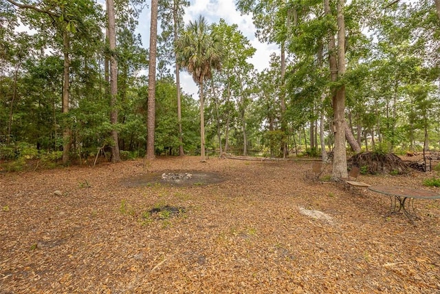 189 Harbor Pointe Dr, Brunswick, GA 31523 - view of yard