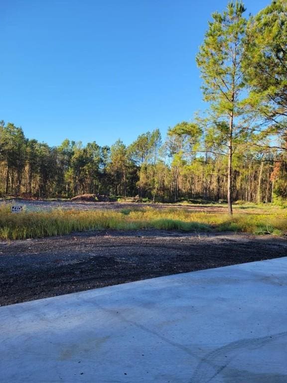 0000 Lejune Rd, Waycross GA, 31501 land for sale