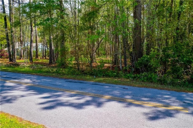 BAL5 Riverdale Dr, Waycross, GA 31501 - photo 12