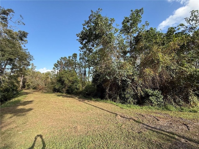 9.6ACRES City Blvd, Waycross, GA 31501