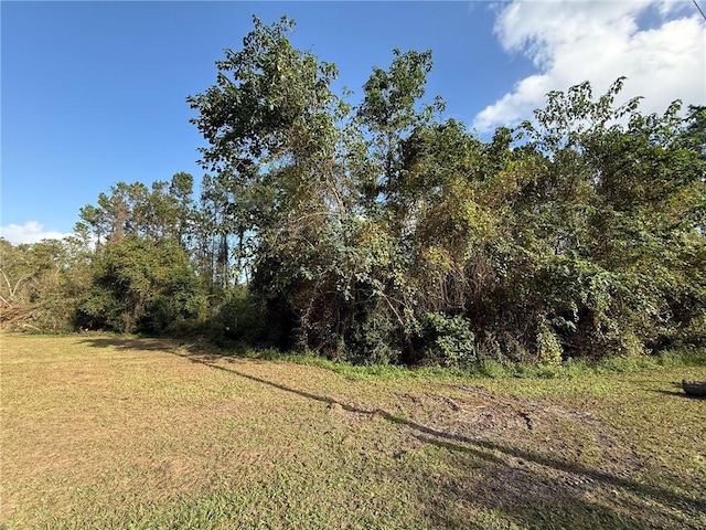 9.6ACRES City Blvd, Waycross, GA 31501