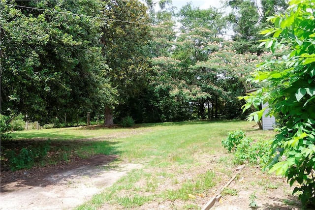 695 Lanes Bridge Rd, Jesup, GA 31545 - view of grassy yard
