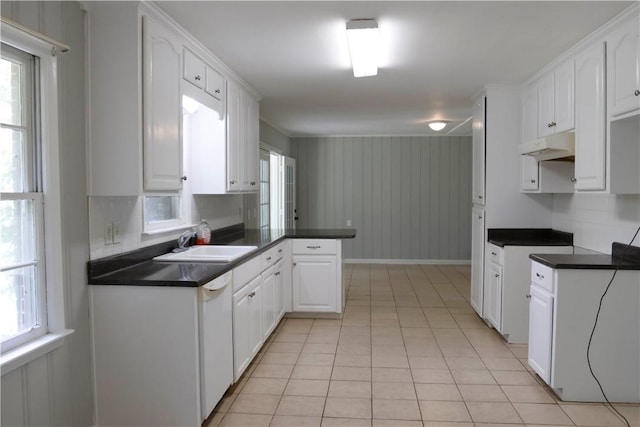 695 Lanes Bridge Rd, Jesup, GA 31545 - kitchen featuring dishwasher, a sink, plenty of natural light, and dark countertops