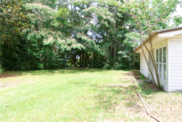 695 Lanes Bridge Rd, Jesup, GA 31545 - view of green lawn