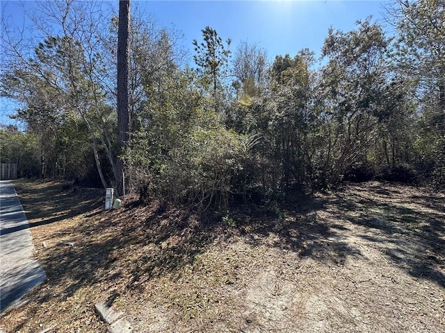 Listing photo 2 for TRACT2, 3 Stetson Dr, Waycross GA 31501