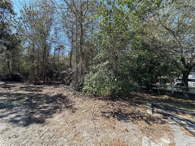 Listing photo 3 for TRACT2, 3 Stetson Dr, Waycross GA 31501