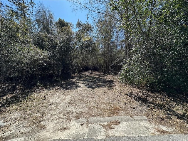 TRACT2, 3 Stetson Dr, Waycross GA, 31501 land for sale