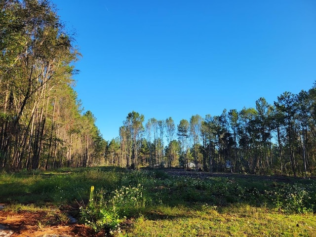 0 Red Oak Dr, Waycross GA, 31501 land for sale