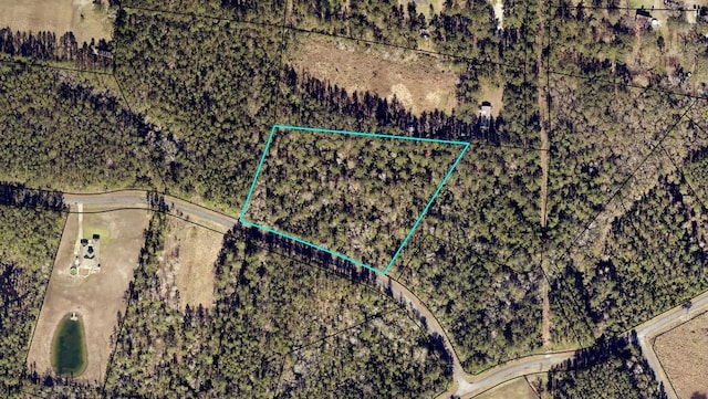 LOT11 Op Ln, White Oak GA, 31568 land for sale