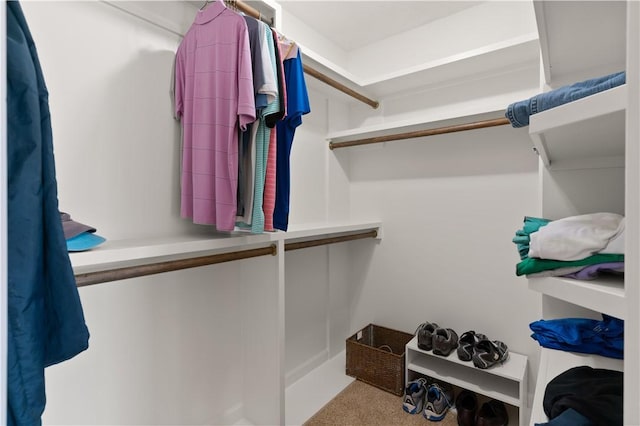 view of spacious closet