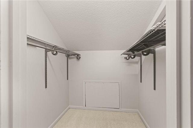 spacious closet featuring light colored carpet