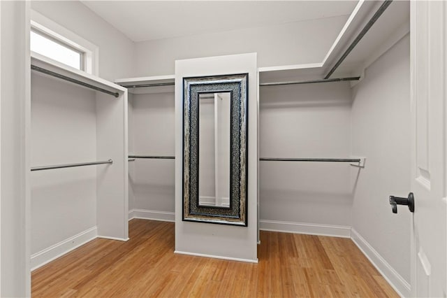 walk in closet with light wood-type flooring