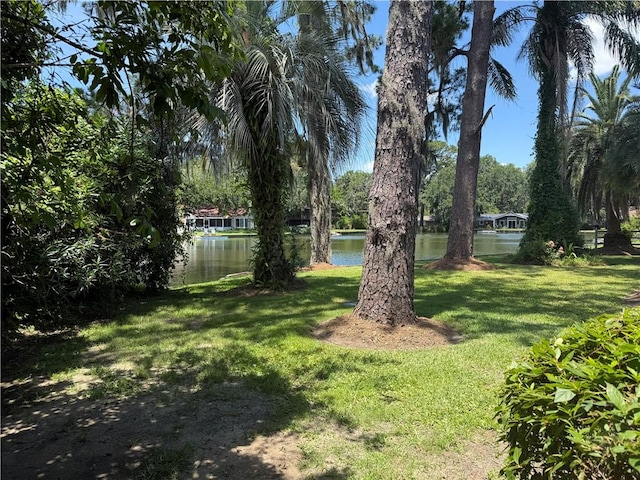 411 Whitefield Ave, Saint Simons Island, GA 31522 - view of green lawn with a water view