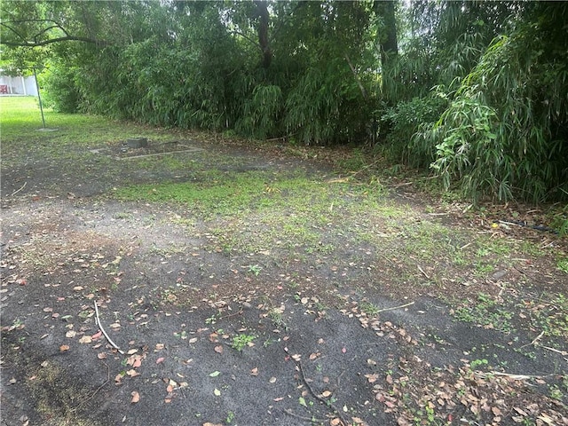 2627 Cleburne St, Brunswick, GA 31520 - view of yard