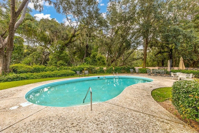 view of pool featuring a patio area