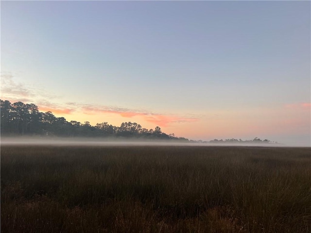 view of nature at dusk