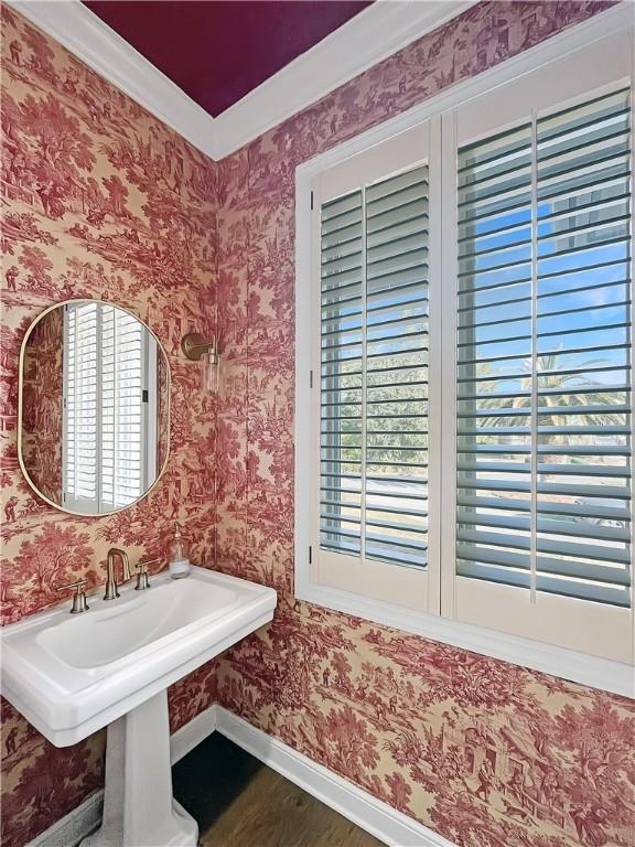 bathroom featuring sink and hardwood / wood-style flooring