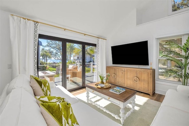 living room with french doors, light hardwood / wood-style floors, and plenty of natural light